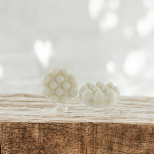 Shampoing solide Noix de coco (cheveux sec)