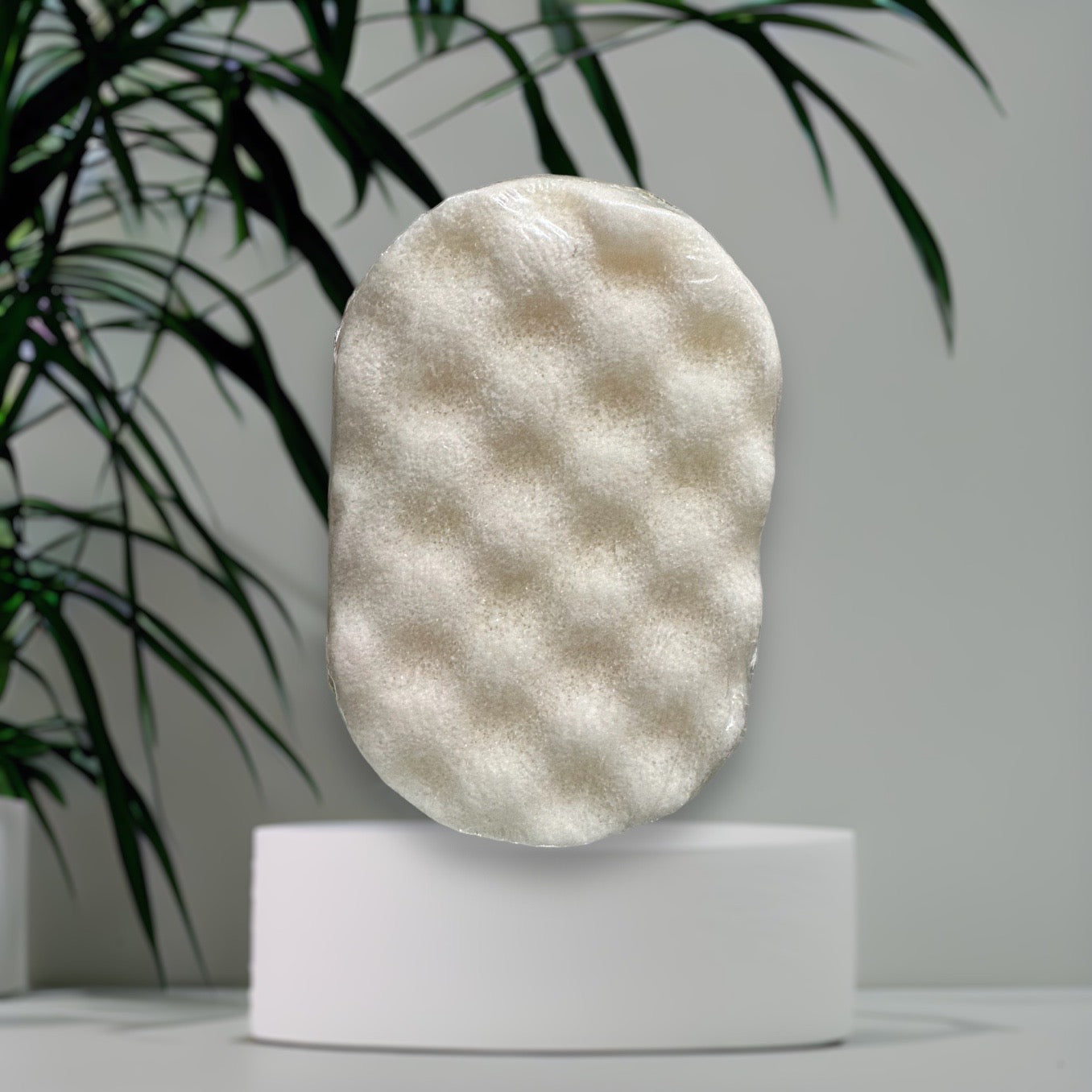 Eponge exfoliante Noix de coco