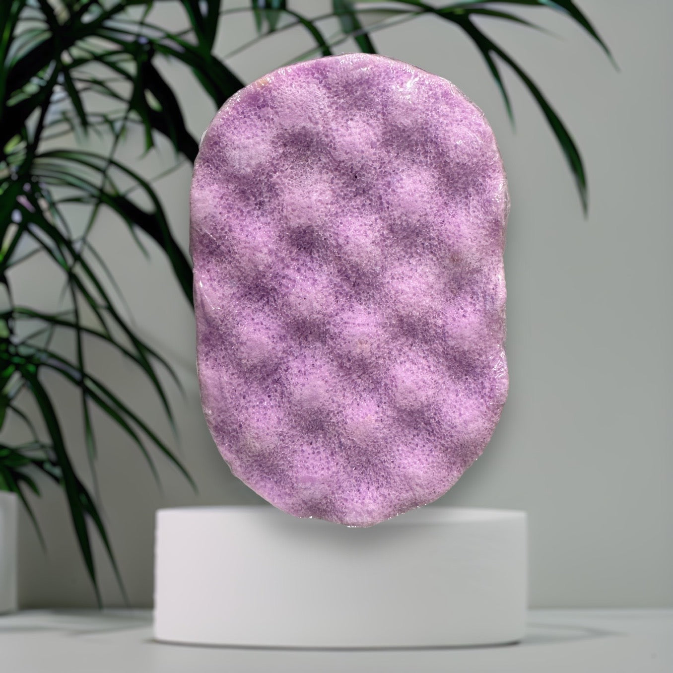 Eponge exfoliante Lady Adventus