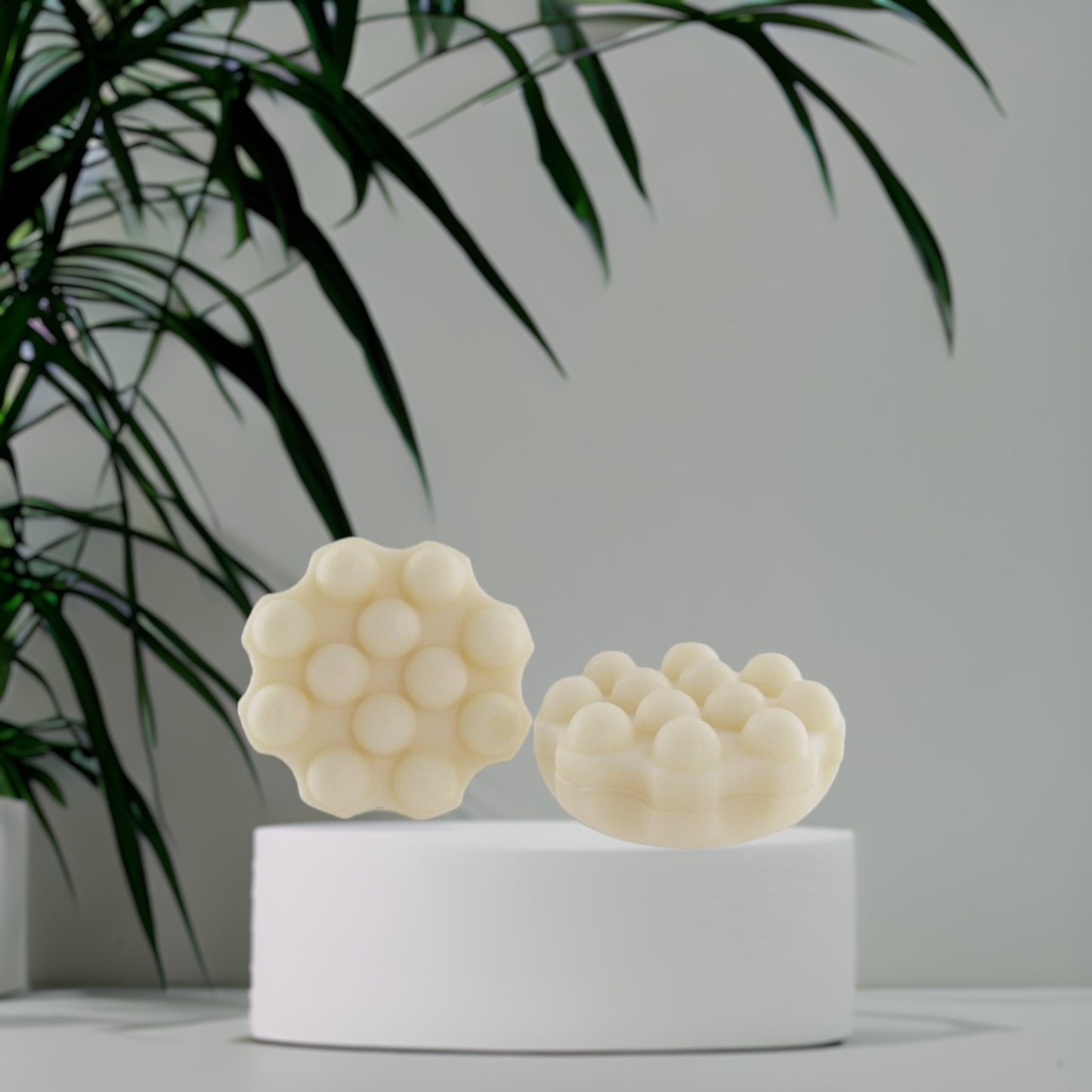 Shampoing solide Lait d'ânesse (cheveux normaux)